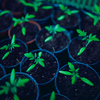 Educação Ambiental